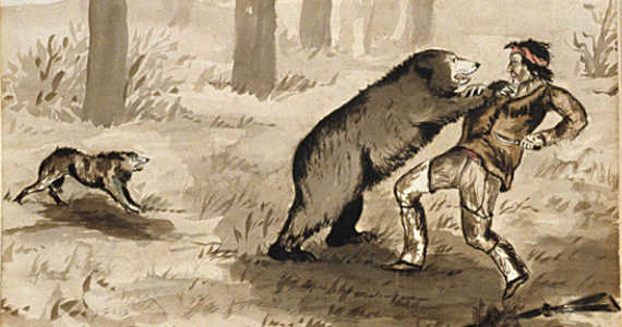 medvěd grizzly bojuje s člověkem